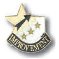 Academic Achievement Pin - "Improvement"